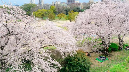 Maizuru Park