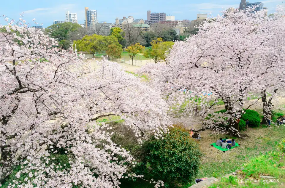 2_Maizuru Park