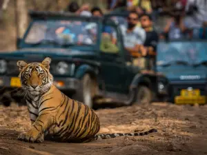 Parco nazionale di Ranthambore