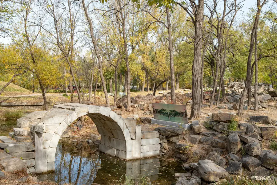 Lion Grove, Old Summer Palace