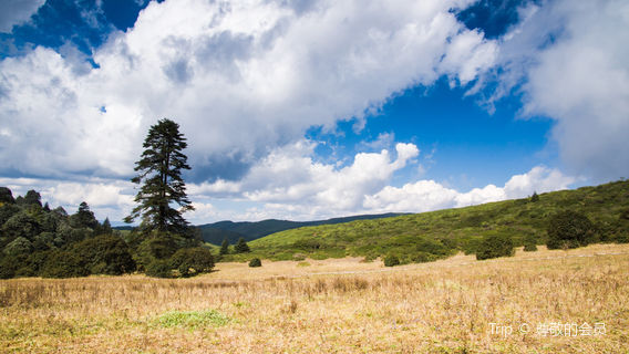 Gesala Ecotourism Area