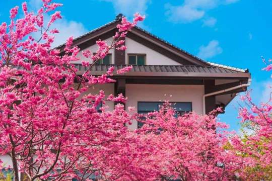 Popular Spring Outings in Taipei