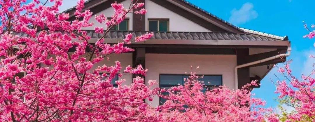 Blumenschau Attraktionen