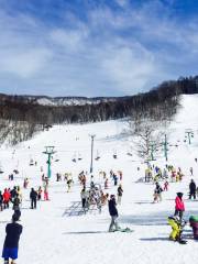 Minakami Kogen Fujiwara ski resort