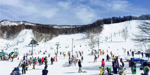 藤原滑雪場