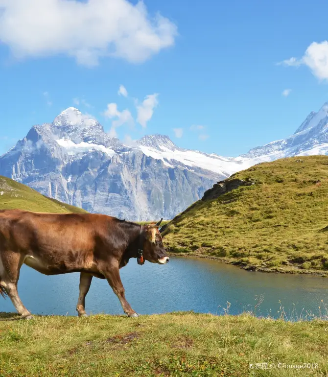Jungfrau Region