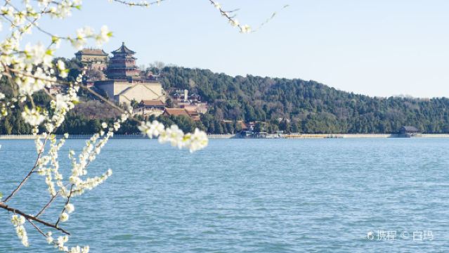 人気商品!世界遺産【頤和園】と 古いけど新しい おしゃれスポット南鑼鼓巷散策 半日観光 午前/午後発/ホテル送迎付き