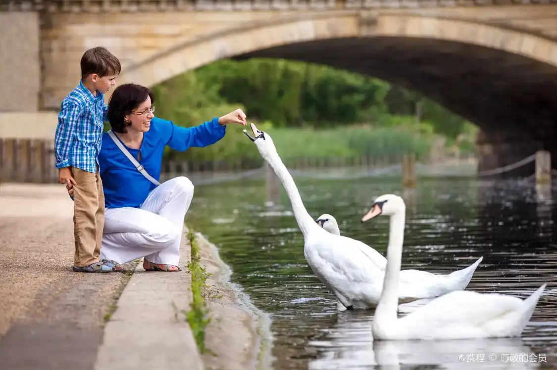 Hotels near Hyde Park