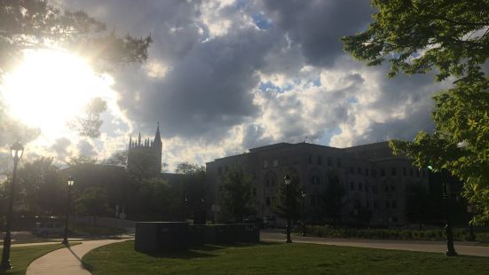 伊州的名校，慕名前来。国外的大学都是历史悠久，长满了绿苔的古