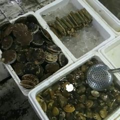 乐亭星轩程农家院 여행 사진
