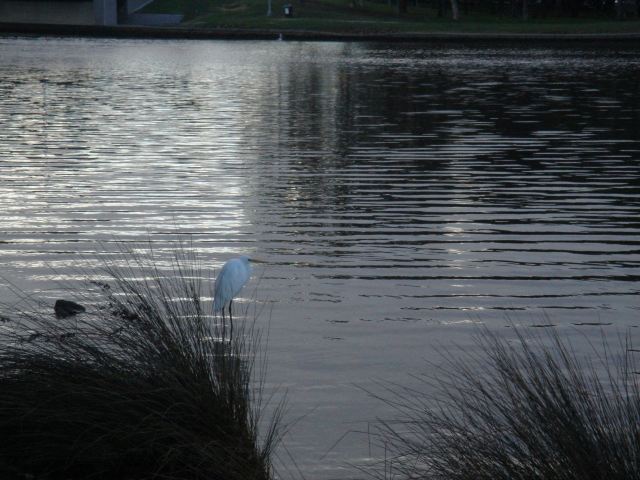 Perth Museum