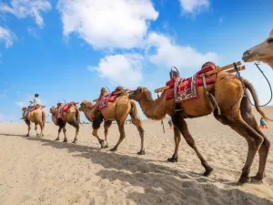 Deserto del Sahara