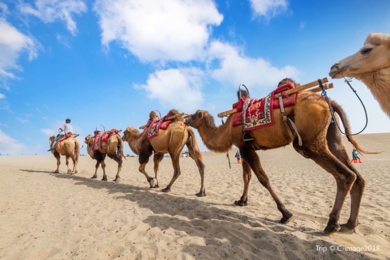 Maroc (Marrakech et Agadir)