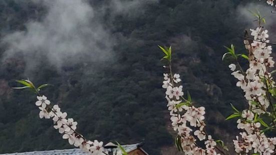 西藏行第十五天，林芝去巴松措途中路過，這裏也舉辦過林芝桃花節