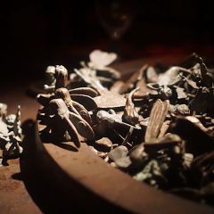 The Iron Fairies Hong Kong User Photo