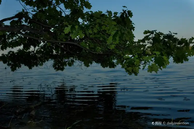 Hotels in Markey Township