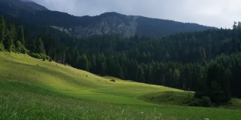 梵爾·卡莫尼卡