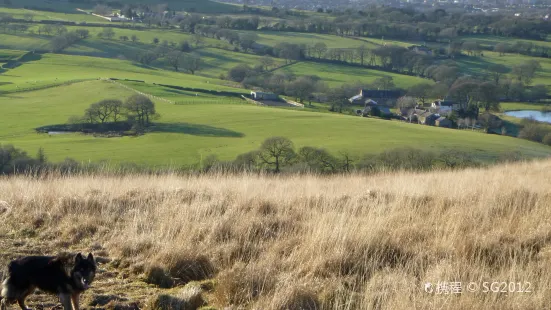 White Coppice