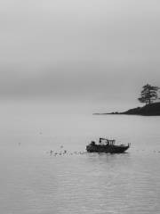 Teddy Bear Cove - Chuckanut Mountain Trails