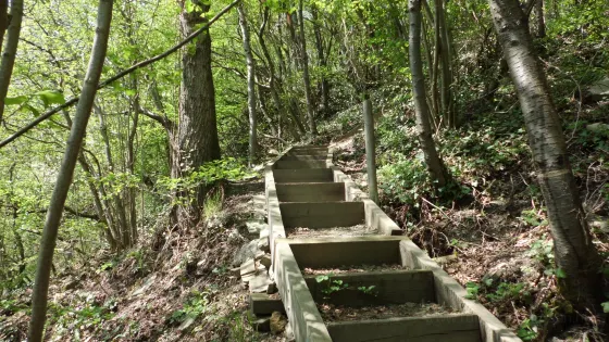 Goat Track