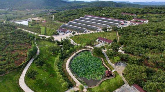 Dandong Xinyi Dujia Villa