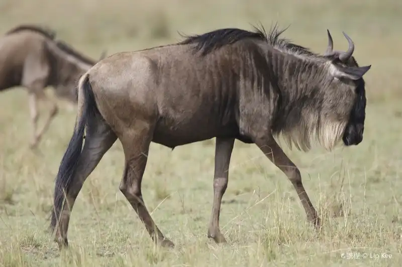 Hotels near Boma National Park
