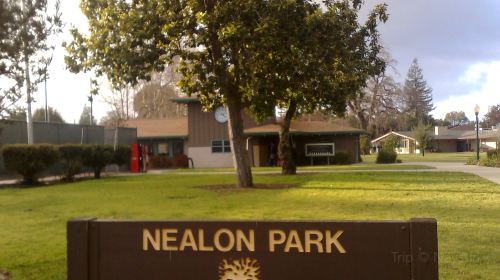 Nealon Park