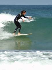 Discovery Surf School