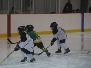 Dumfries Ice Bowl