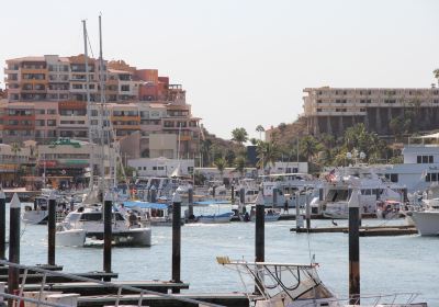 Marina Cabo San Lucas