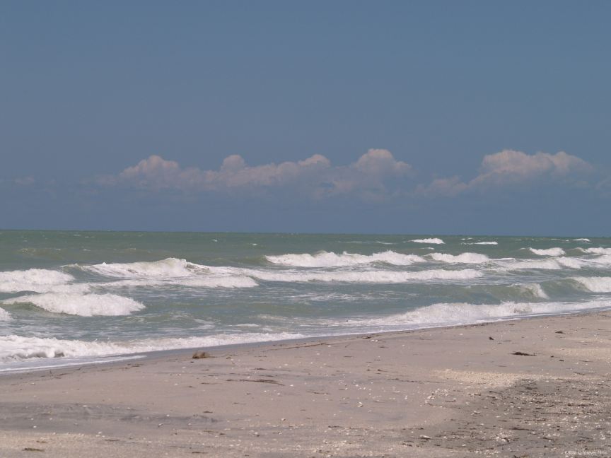 Port Charlotte Beach Park Tickets [2026] - Trip.com