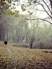 Vernavola Park (Parco della Vernavola)