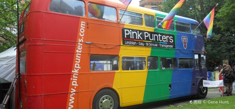 Pink Punters