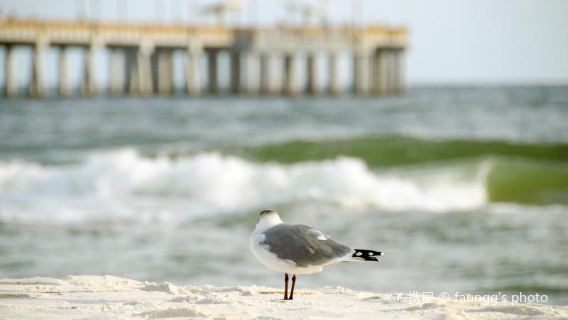 Gulf State Park Pier