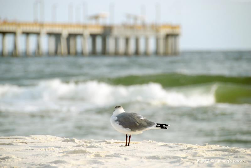 Gulf State Park Pier