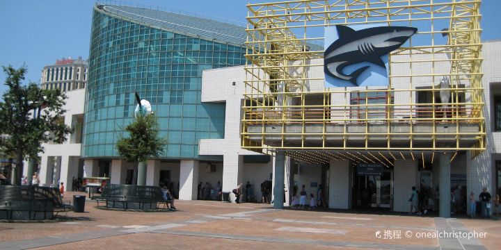Audubon Aquarium