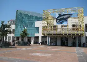 Audubon Aquarium