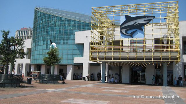 Audubon Aquarium