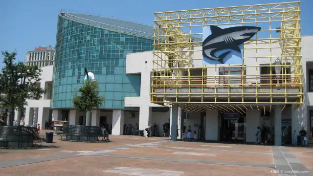 鄰近奧杜邦美洲水族館的酒店