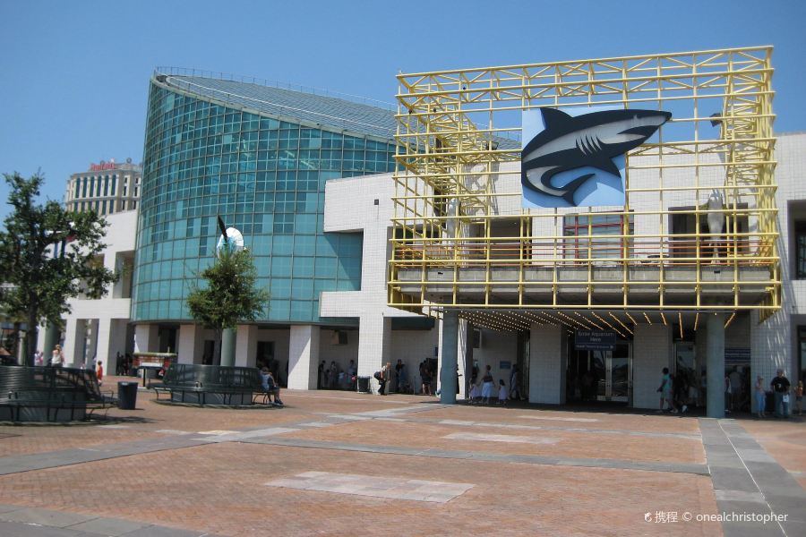 奧杜邦美洲水族館