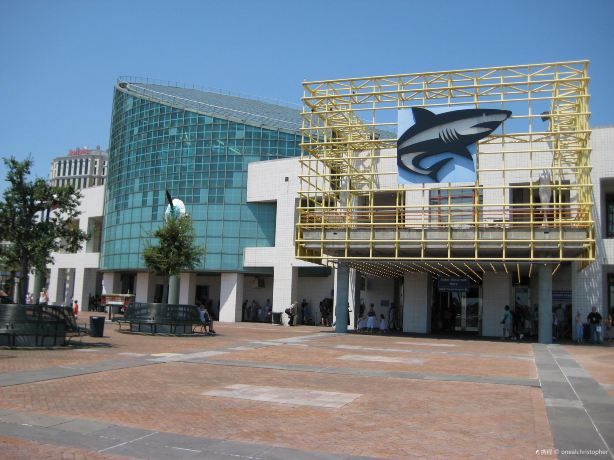 Audubon Aquarium