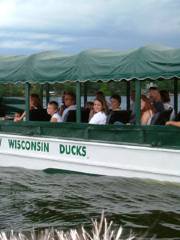 Original Wisconsin Ducks