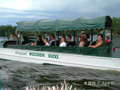 Original Wisconsin Ducks