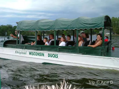 Original Wisconsin Ducks