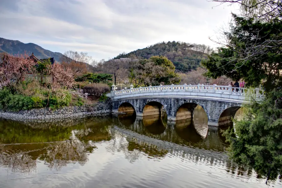 앞산