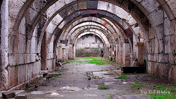 Izmir