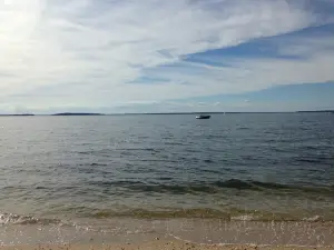 Foster Memorial Beach