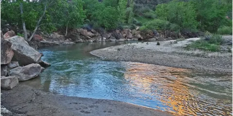 River Bend Nature Center