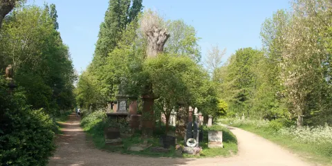 Abney Park Cemetery