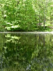 Lake Anna State Park